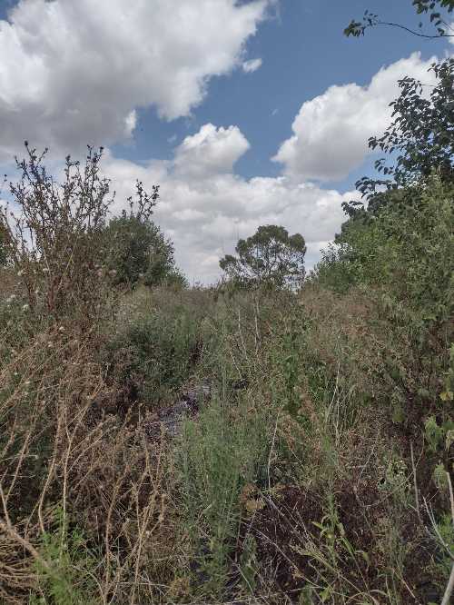 , inmobiliaria ,INMOBILIARIA, EL PATO, venta, lote, Fracciones,lotes, terreno, terrenos, campo,campos,,departamentos, departamento, casa, casas,local, locales