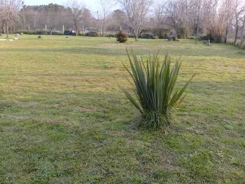 , inmobiliaria ,INMOBILIARIA, EL PATO, venta, lote, Fracciones,lotes, terreno, terrenos, campo,campos,,departamentos, departamento, casa, casas,local, locales